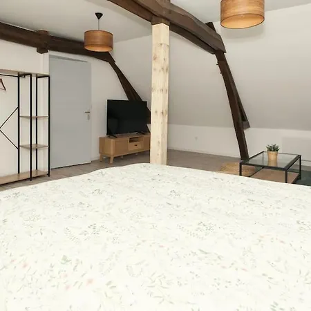 Apartment La Jeanne D'arc 6, - France Troyes